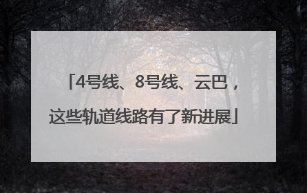 4号线、8号线、云巴，这些轨道线路有了新进展