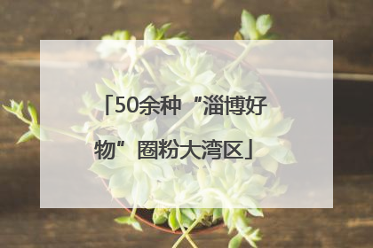 50余种“淄博好物”圈粉大湾区