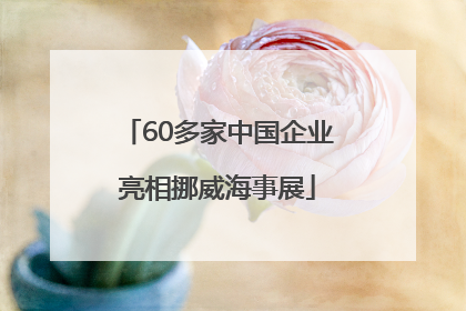 60多家中国企业亮相挪威海事展