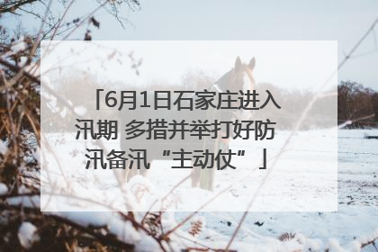 6月1日石家庄进入汛期 多措并举打好防汛备汛“主动仗”