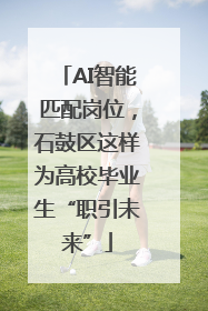 AI智能匹配岗位，石鼓区这样为高校毕业生“职引未来”