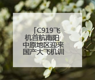 C919飞机首航南阳 中原地区迎来国产大飞机训练新篇章