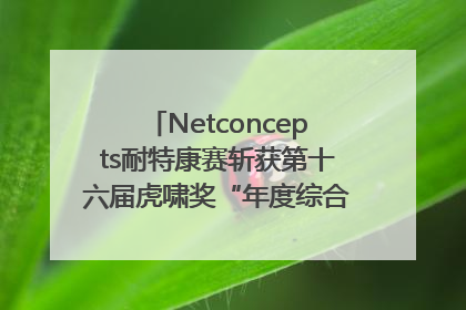 Netconcepts耐特康赛斩获第十六届虎啸奖“年度综合服务商”大奖